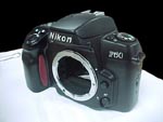 Nikon-F60.jpg (10969 ֽ)